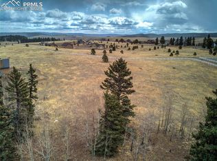 174 Joshua Rd, Divide, CO 80814