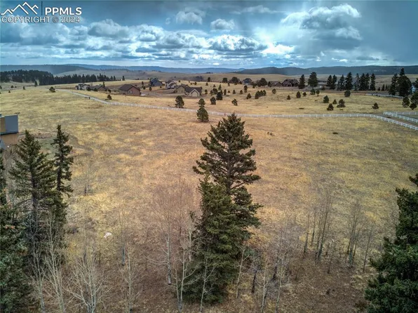174 Joshua Rd, Divide, CO 80814