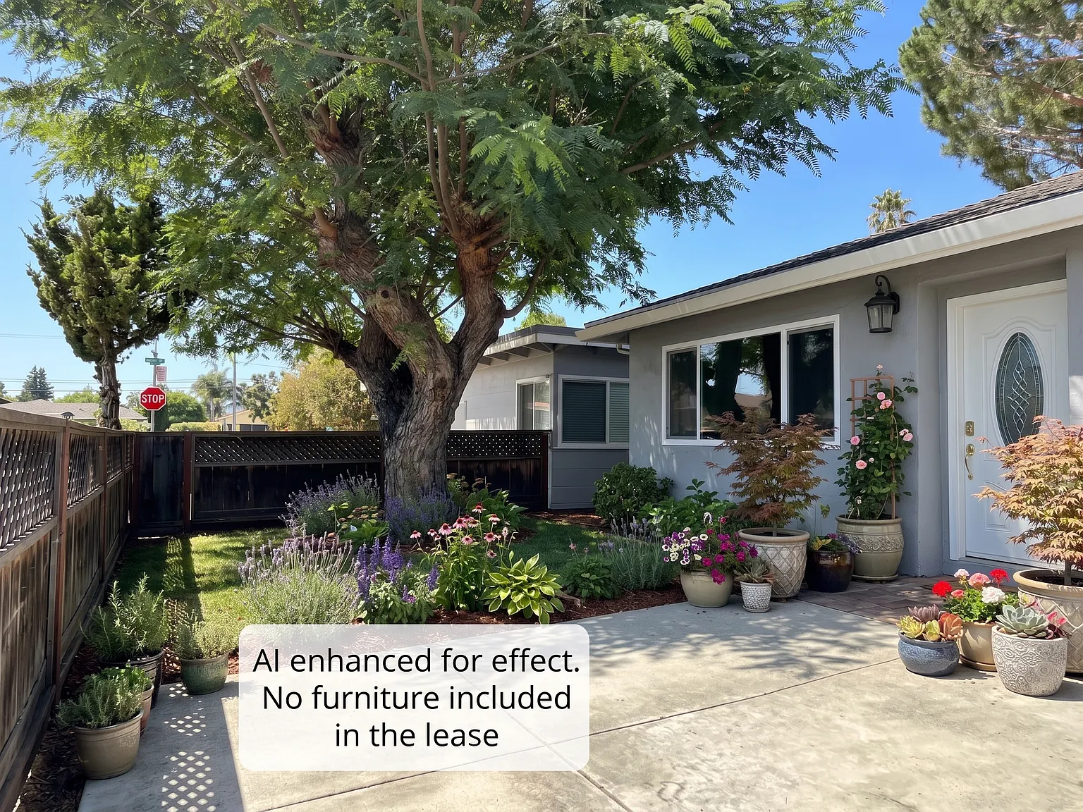 2 bed, 1100 sqft, $5,000 — Photo 3