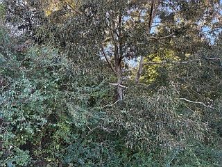 4th image of 1513 County Road 368