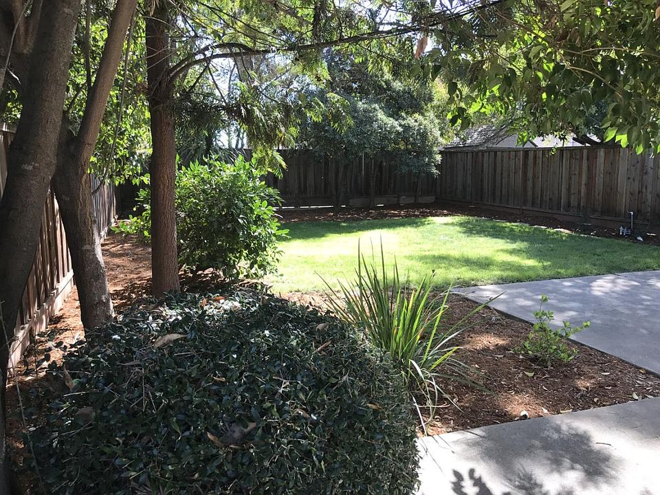 Spacious backyard - perfect for summer bbqs, small pets or your private meditation retreat.