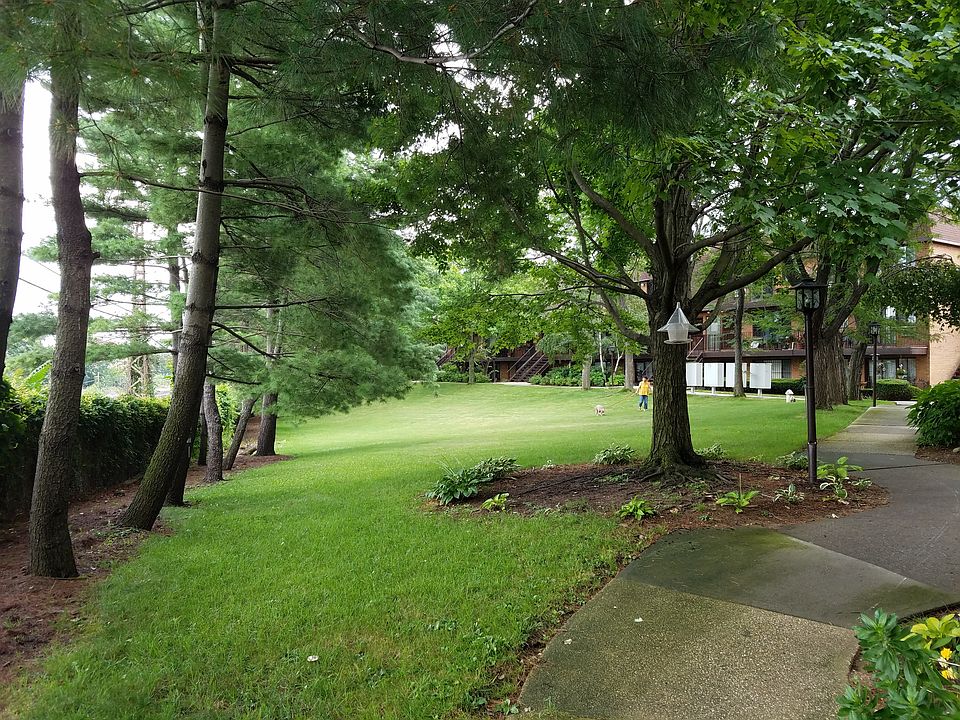Frontyard