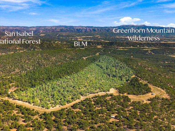TBD Milligan Ranch Lot 4 Lane, Gardner, CO 81040