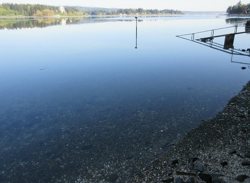 2nd image of 2619 Marine Dr