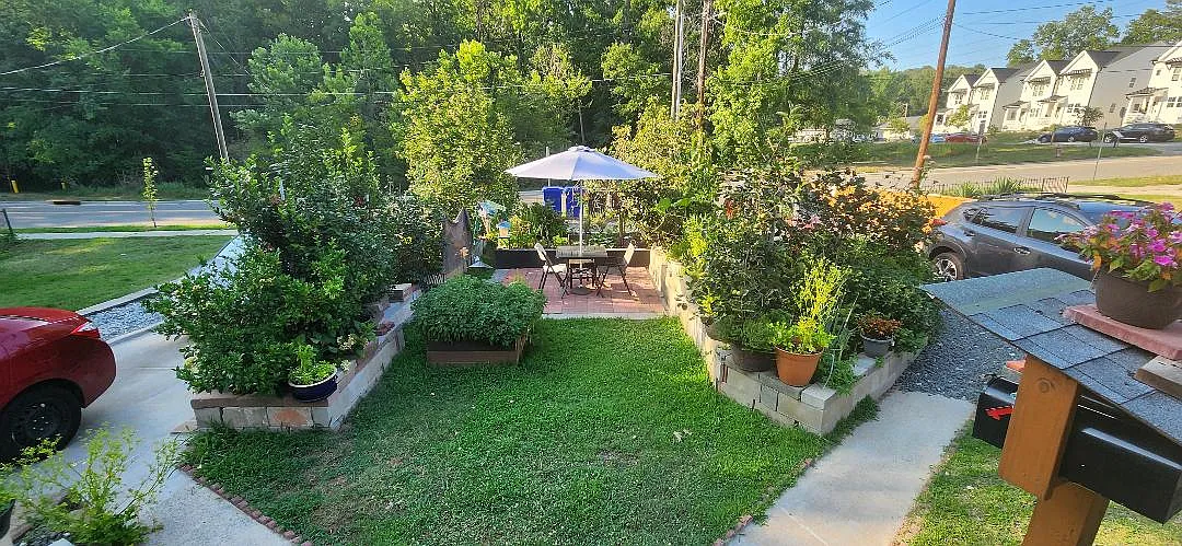 1 bed, 700 sqft, $1,475 — Photo 3