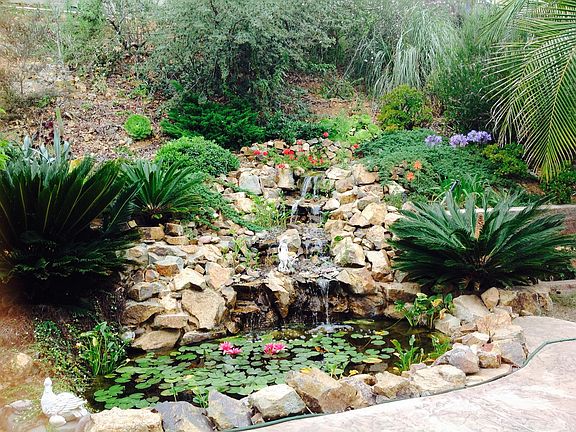 Backyard waterfall / fish pond