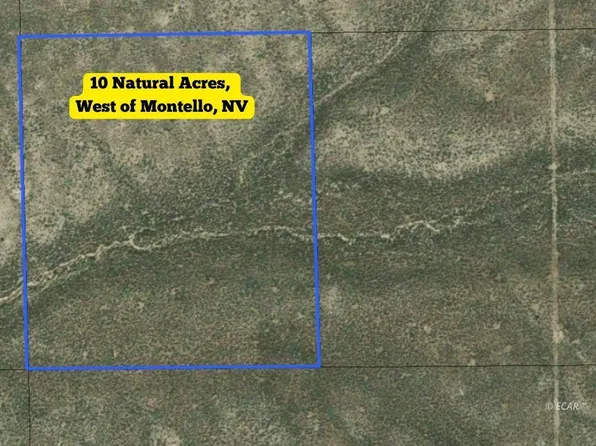 01014D018 SW 4se4ne4; Sec Twn 39n Rdg #19-67E, Montello, NV 89830