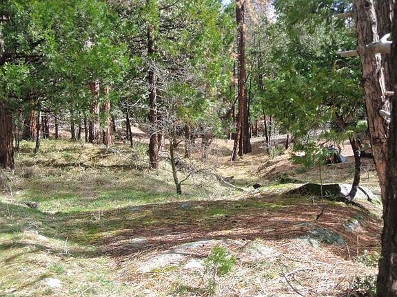 3rd image of 41734 Chipmunk Ln