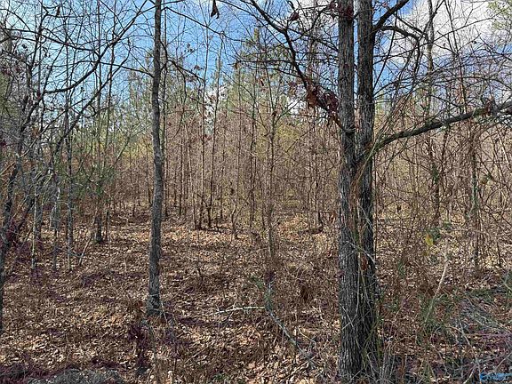 4th image of 4 & 5 Estes Rd