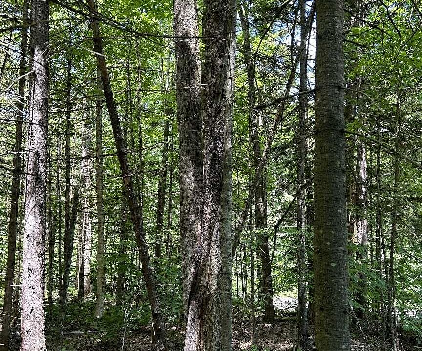 2nd image of 14 East Bear Swamp Road