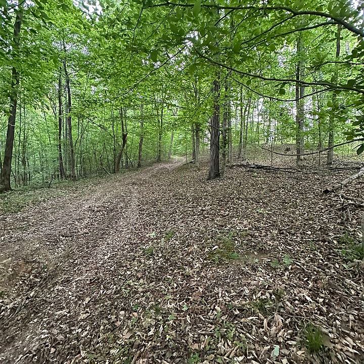 1st image of Burnley Rd
