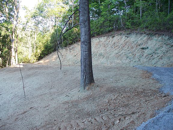 4th image of 23 Pumpkin Patch Pl