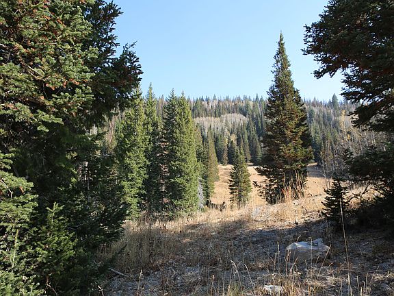 3rd image of 327 White Pine Canyon Rd Lot 327