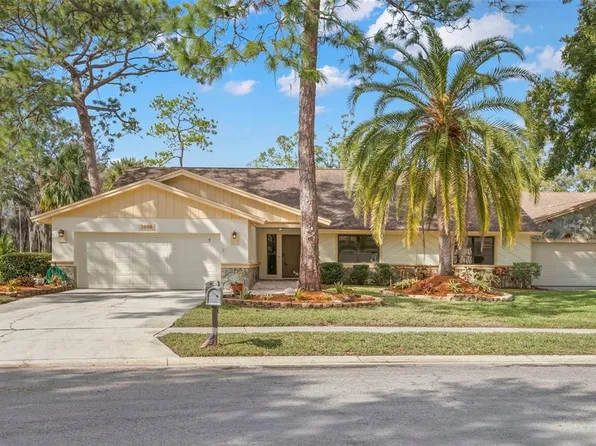 3006 Bolt Dr, Palm Harbor, FL 34685