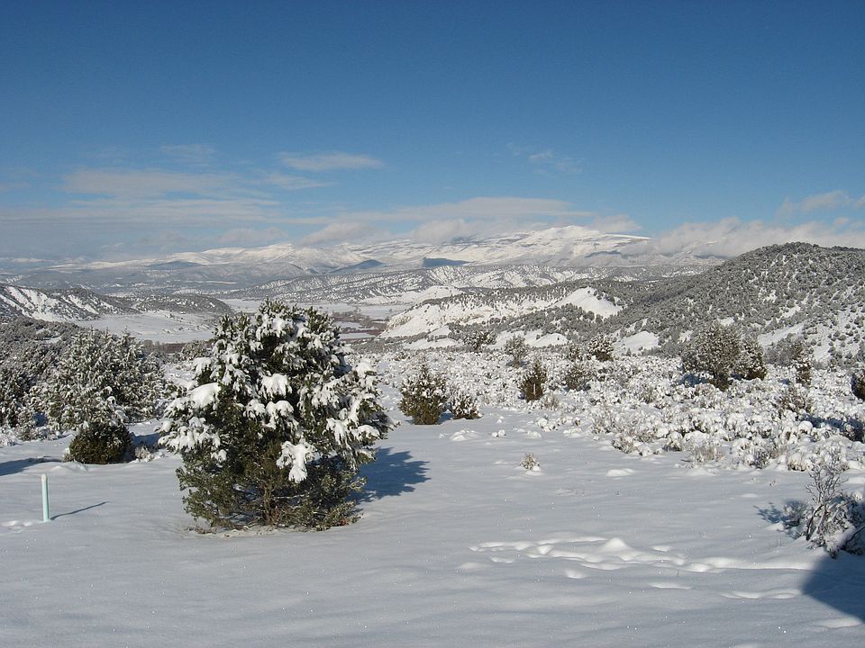 view from deck