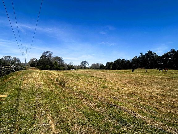 5th image of 175 County Road 571