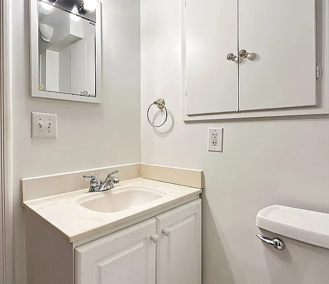 Lower Level Bathroom