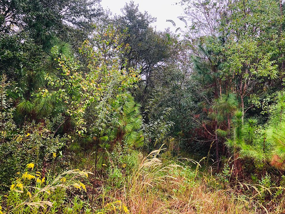 2nd image of 10184 Chapman Rd