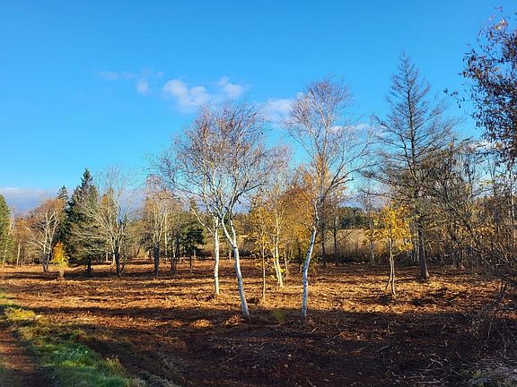 4th image of Hall Rd