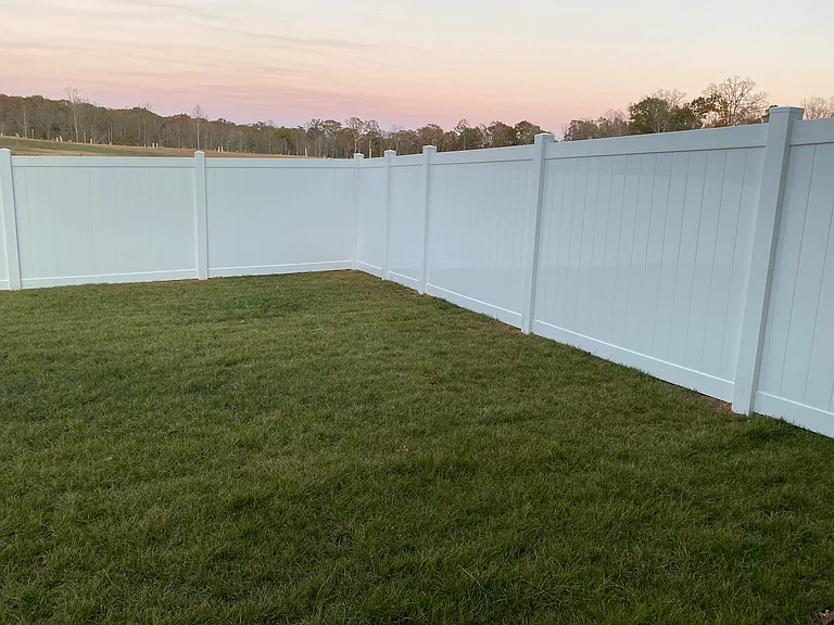 Fenced rear yard