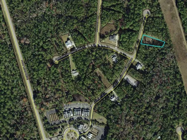 LOT 70 Old Palmetto Path St, Saint Marks, FL 32355