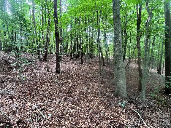 3rd image of Moore Branch Rd