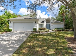 10 Birchtree St, Homosassa, FL 34446