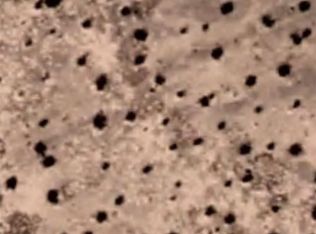 0 E Charleston Ln #116, Tecopa, CA 92389