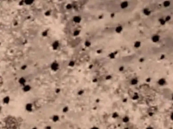 0 E Charleston Ln #116, Tecopa, CA 92389