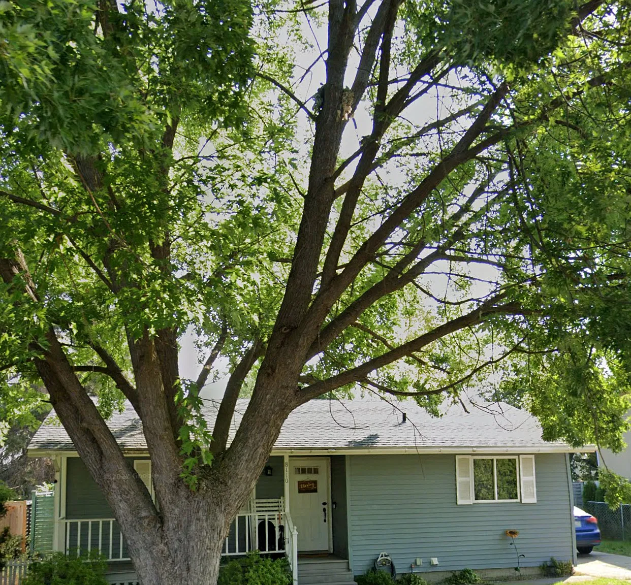 3 bed, 1600 sqft, $1,850 — Photo 1