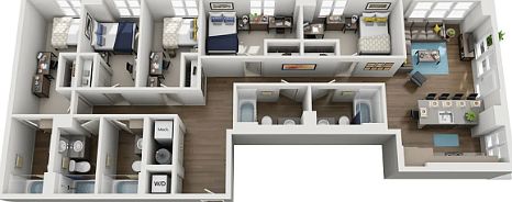 Layout