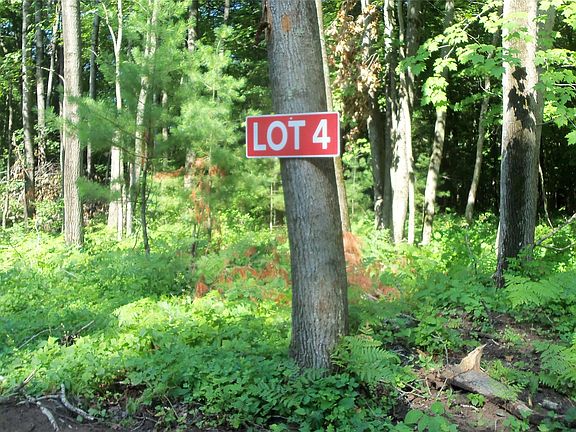 2nd image of Lot 4 Howard Johnson Trail
