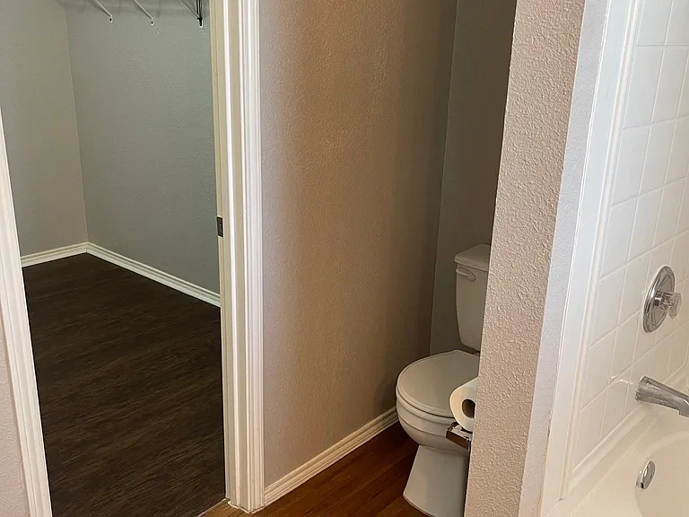 master bathroom closet