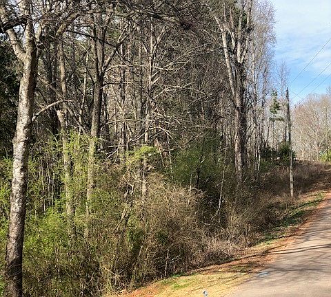 4th image of 0 Furman L Smith Memorial Hwy
