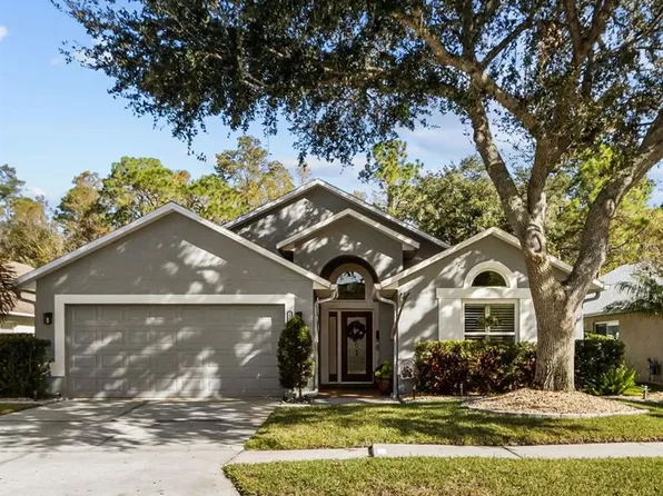 12531 Sparkleberry Rd, Tampa, FL 33626