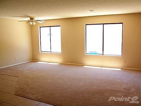 Picture 043