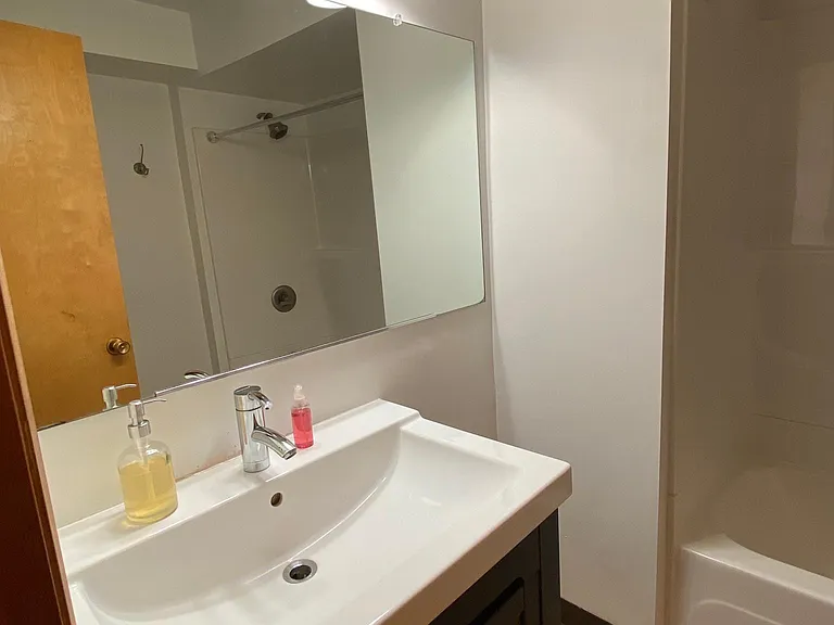 Main floor bathroom