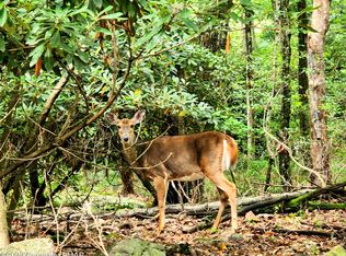 A186 Broad Mountain View Dr #JIM, Jim Thorpe, PA 18229