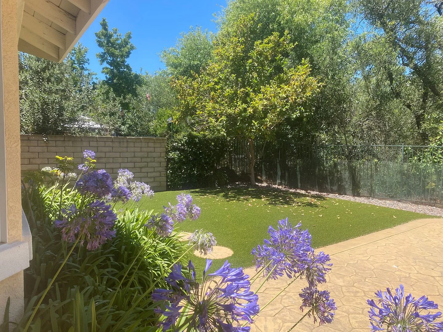 Dos Vientos — Photo 4