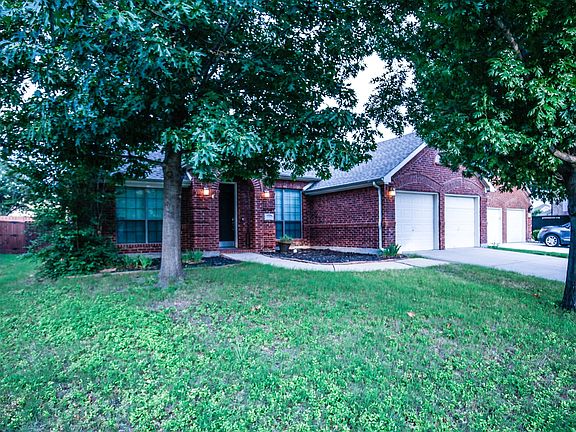 Mature oak tree in front yard.