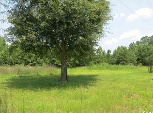 286 Dennis Dr, Hemingway, SC 29554