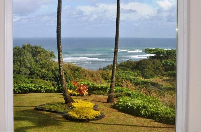 Actual View from Living R