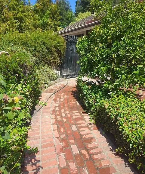 37 Sierra Madre Blvd — Photo 5