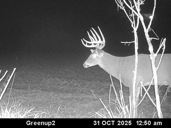 0 County Road 1825 E, Greenup, IL 62428