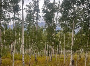 Wapiti Rd LOT 37, Telluride, CO 81435