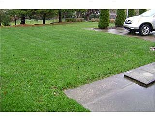 2nd image of 97 McLaughlin Dr