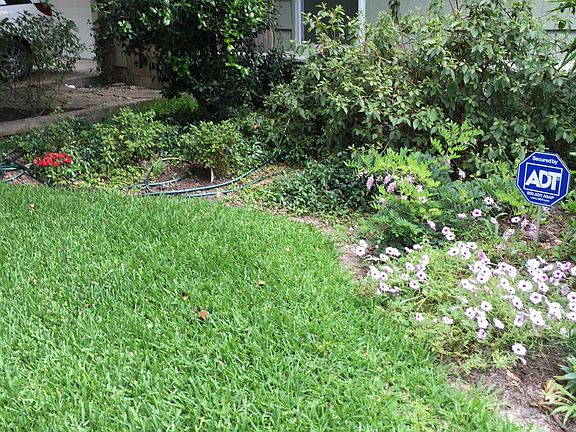 Front Yard Left Side