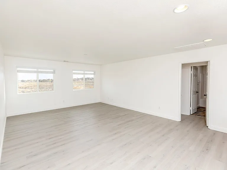 38938 Malva Rosa Dr — Photo 19