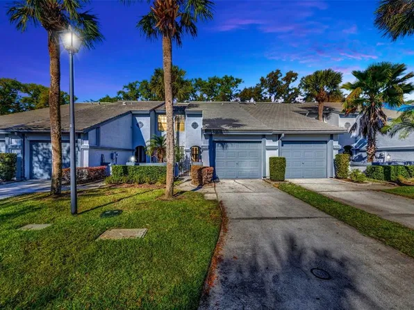 4239 Brentwood Park Cir, Tampa, FL 33624