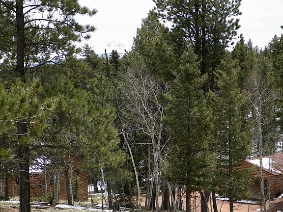 4th image of 4040 Omer Ln